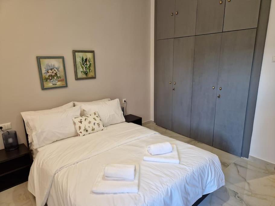 N&S Apartment B Edessa Bagian luar foto